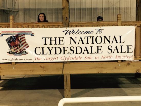 National Equestrian Center